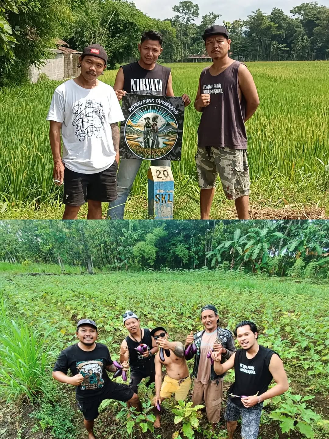 Dari Subkultur ke Ketahanan Pangan: Cara Anak Punk Gunungkidul Mengubah Sawah Jadi Gerakan Sosial